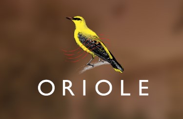 Oriole cocktail bars in the uk