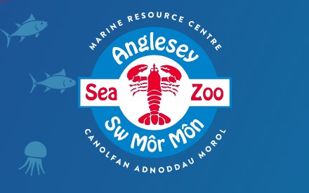 Anglesey Sea Zoo aquariums in the UK