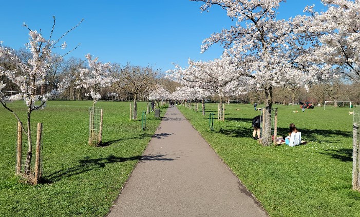 Battersea Park