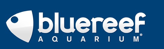 Blue Reef Aquarium