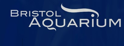 Bristol Aquarium