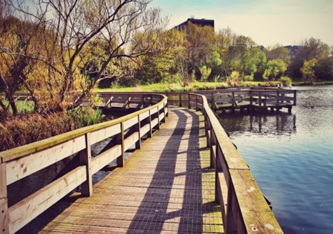Figgate Park jogging spots in the UK