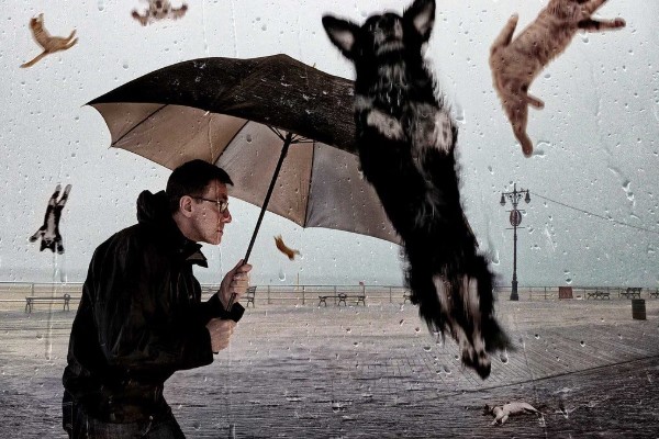 It’s raining cats and dogs English phrases about the UK