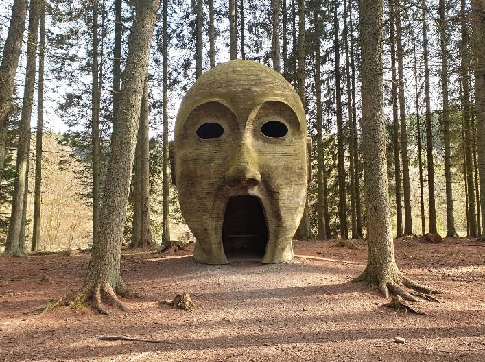 Kielder Forests in the UK