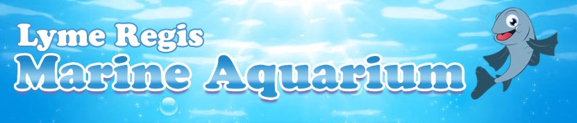 Lyme Regis Marine Aquarium aquariums in the UK