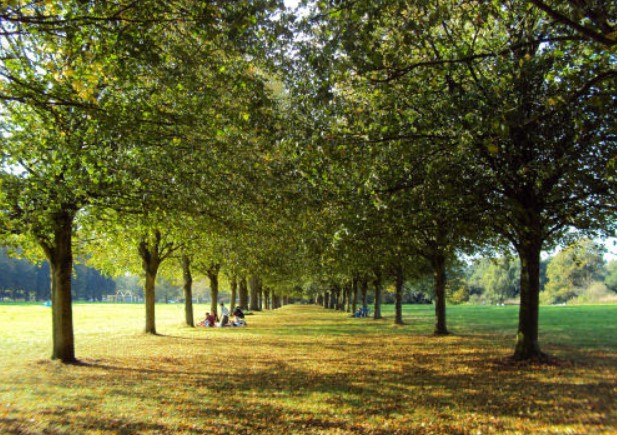 Marbury Country Park
