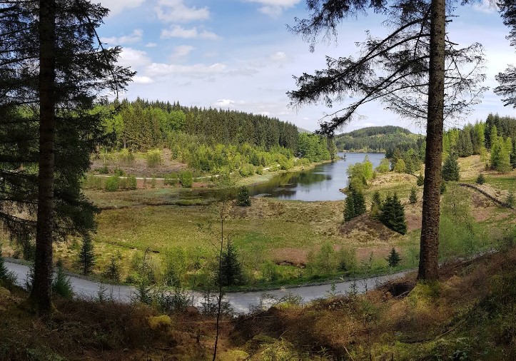 Queen Elizabeth Forest Park