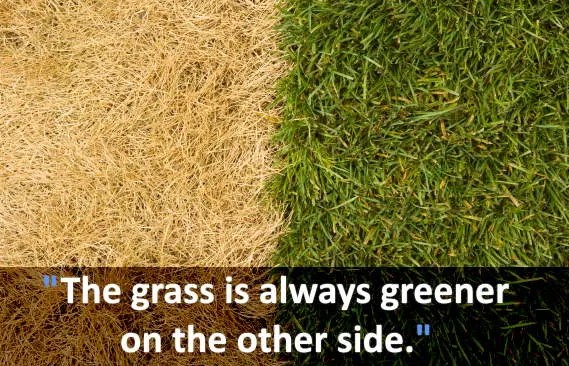 The grass is always greener on the other side English phrases about the UK