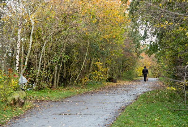Watergate Forest Park jogging spots in the UK