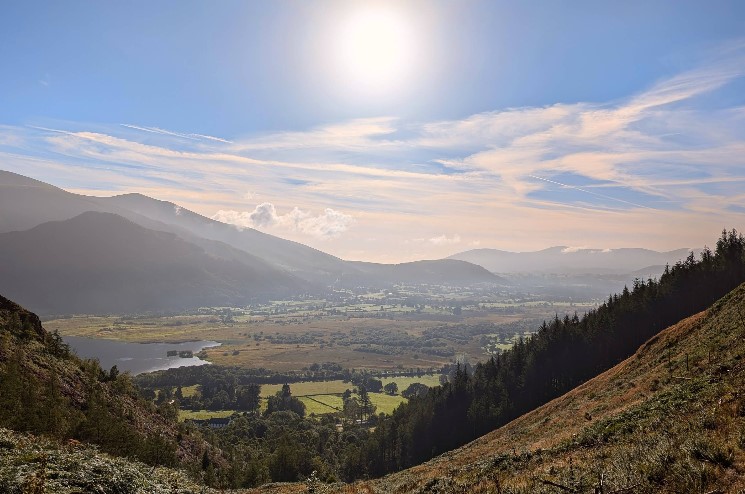Whinlatter Forest