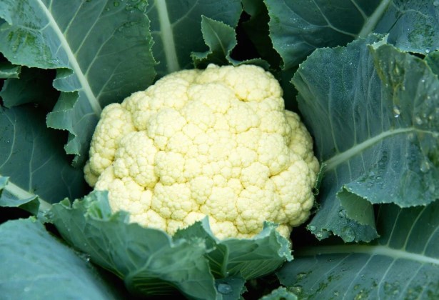 Cauliflower