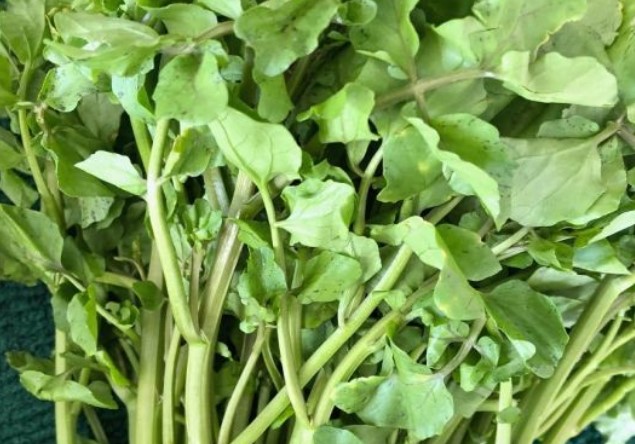 Watercress