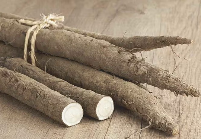 Burdock Root