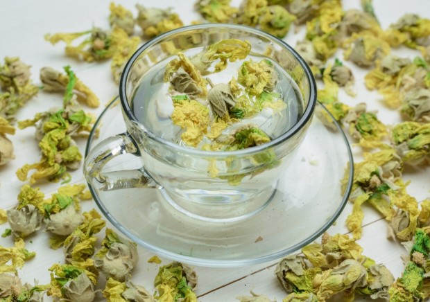 Chamomile natural ingredients in the UK