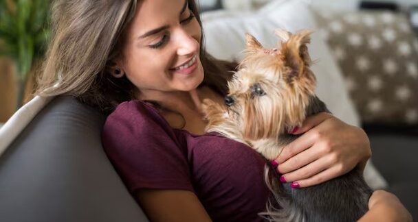Top 10 At-Home Pet Sitting Services in the UK