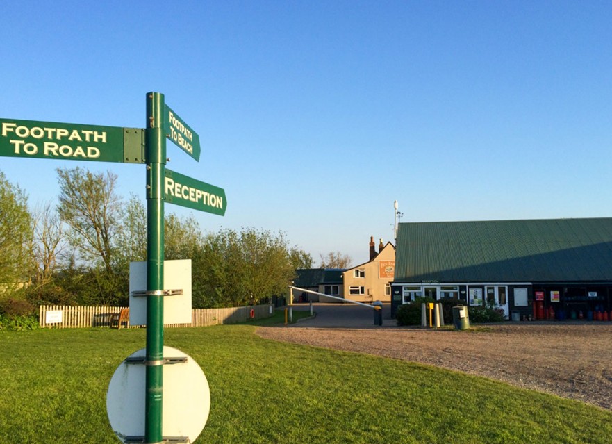 Pitches & Glamping at Fen Farm (Suffolk, England)