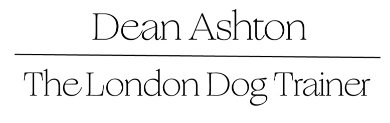 The London Dog Trainer - Dean Ashton dog training schools in UK