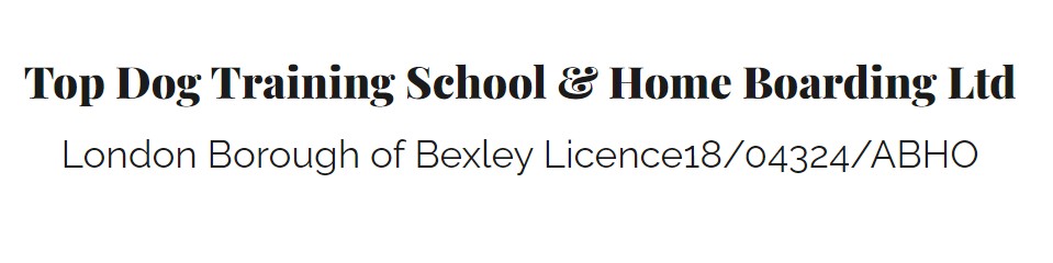 Top Dog Training School & Home Boarding